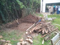dig hole.jpg