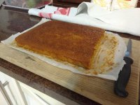 IMG_20171004_074609319.jpg