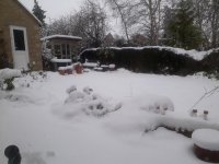 20171210_133959.jpg