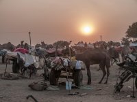 Pushkar camel fair 1.jpg Pushkar camel fair 1.jpg
