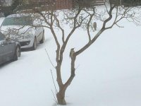 IMG_1561.JPG
