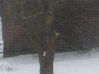 IMG_1562.JPG