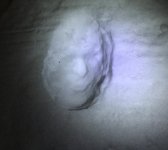 623AAB1B-C674-4391-BCAF-4EB2B5CBC17B.jpeg