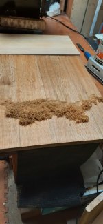 Oak_scrape2.jpg Oak_scrape2.jpg