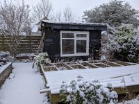 snow.jpg