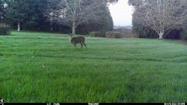 IMG_0022a.jpg