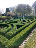 Knot Garden 3.jpg Knot Garden 3.jpg