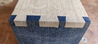 dovetail_4.jpg