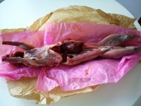 Lapin 1.jpg