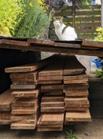 wood pile 2.jpg