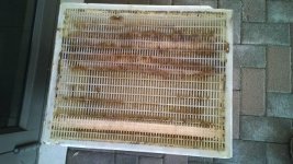 Sample4.jpg Sample4.jpg