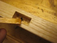 IMG_8134.JPG