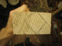 IMG_8312.JPG IMG_8312.JPG