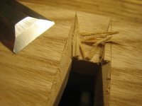 IMG_8343.JPG IMG_8343.JPG