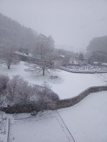 IMG_20221226_093617_679.jpg