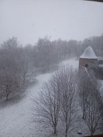 IMG_20221226_093546_226.jpg