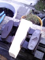 IMG0023A.jpg