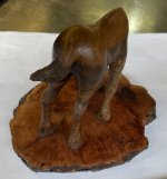 foal 3.JPG
