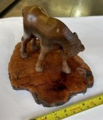 foal 2.JPG
