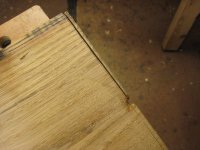 IMG_3529.JPG