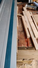 tracksaw.jpg