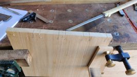 07_tails_sawn.jpg
