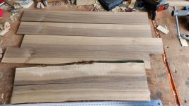 01_sappy_walnut_bits.jpg 01_sappy_walnut_bits.jpg