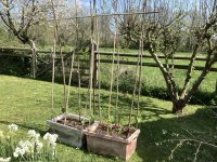 IMG_1901.jpeg