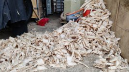 weekend_s_shavings.jpg