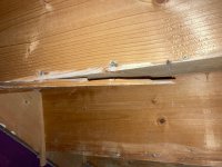 IMG_2973.jpg