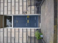 DSC05531.jpg