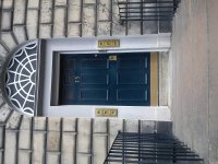 DSC05526.jpg