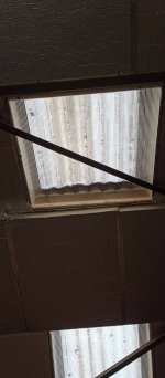 IMG_20230806_135329025.jpg