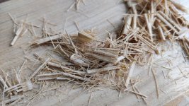 07_juddery_shavings.jpg 07_juddery_shavings.jpg