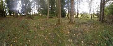 20230929_172252.jpg 20230929_172252.jpg