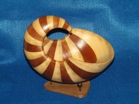 nautiloid3-1.JPG
