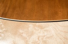 DSC07833-1.jpg