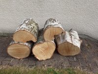 20231011_143420.jpeg