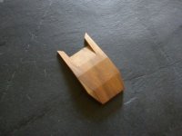 Horned Plane 9.jpg Horned Plane 9.jpg