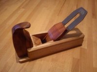 Horned Plane 10.jpg Horned Plane 10.jpg