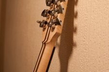 tyremanguitars_scratch2023_final10photos_completedbuild (8 of 10).jpg