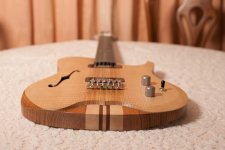 tyremanguitars_scratch2023_final10photos_completedbuild (9 of 10).jpg