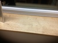 IMG_1358.jpeg IMG_1358.jpeg