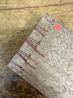 IMG_2174.jpeg