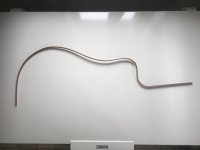B83984DD-1870-4142-86E2-247F8439674B_1_201_a.jpeg