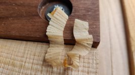 20240426_141244.jpg 20240426_141244.jpg