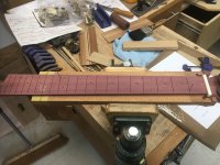 9EB3F640-6DC8-4BF5-AD24-B6400E387DE1.jpeg 9EB3F640-6DC8-4BF5-AD24-B6400E387DE1.jpeg