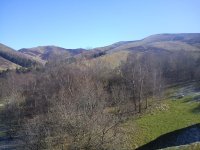DSC05212.jpg