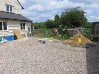 IMG_7360.jpg