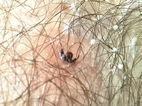 IMG_3445.jpeg